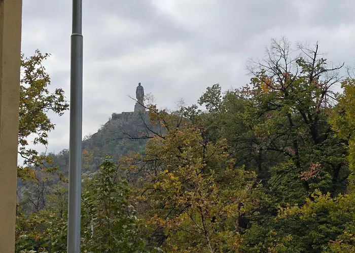 Noviz 플로브디프