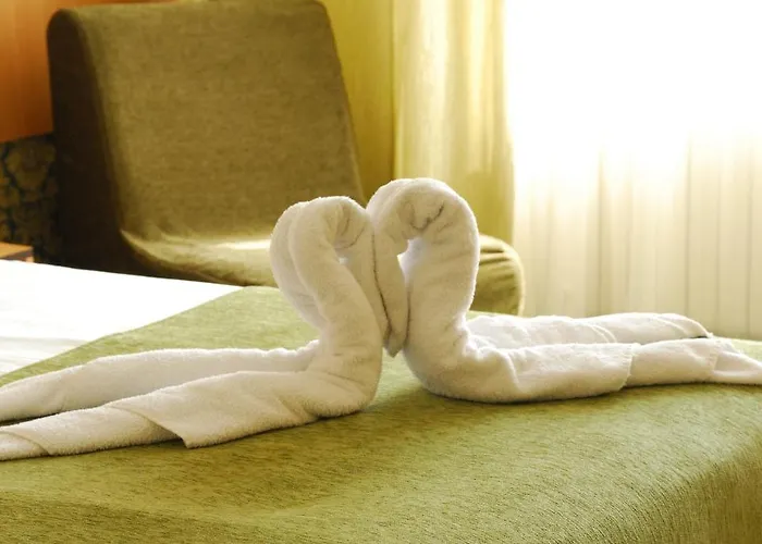 Noviz 3* 플로브디프